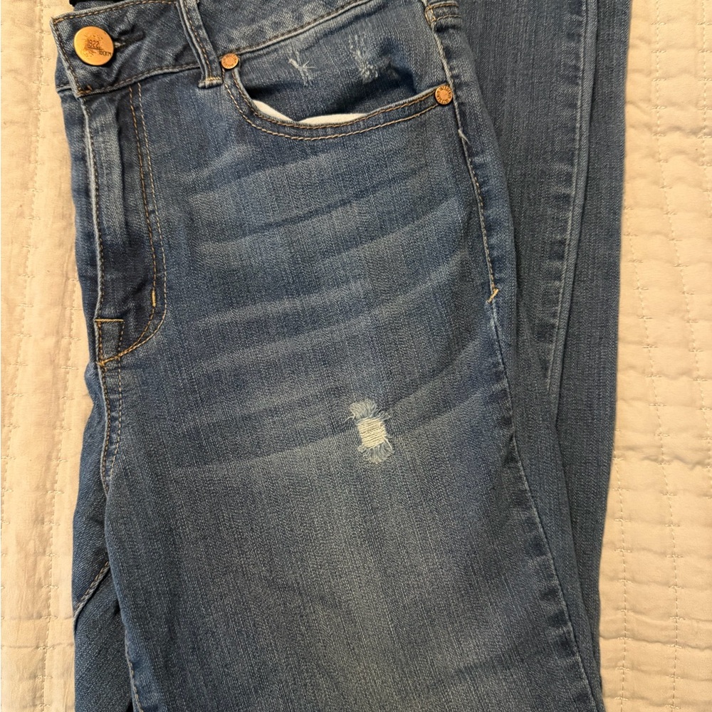 1822 Denim Women's Light Blue Skinny Jeans with Subtle Distress